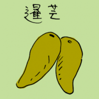 暹芒 sweet mango