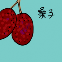 桑子 mulberry