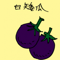 白矮瓜 white eggplant
