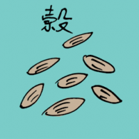 谷 paddy