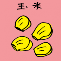 玉米,玉蜀黍 corn