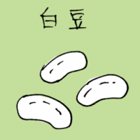 白豆 white bean