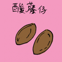 酸藤仔 sour mango