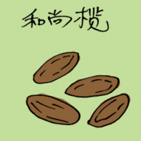 和尚榄 monk fruit