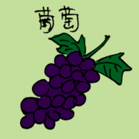 葡萄 grapes