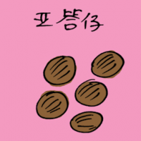 亚答仔 atap seed