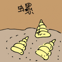 螺 spiral shell