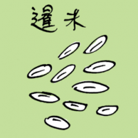 暹米 thai rice
