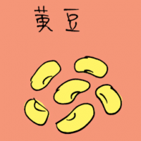 黄豆 soya bean