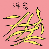 洋参 ginseng