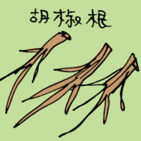 辣椒根 pepper root