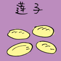 莲子 lotus seed
