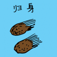 归身,当归 chinese angelica root