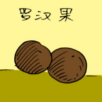 罗汉果 monk fruit