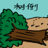 树倒 uprooted tree