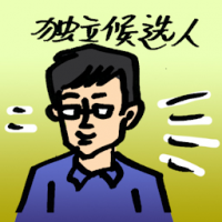 独立候选人 independent candidate