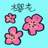 樱花 sakura
