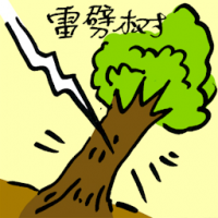 雷劈树 tree uprooted by storm