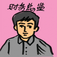 财务总监 chief financial officer