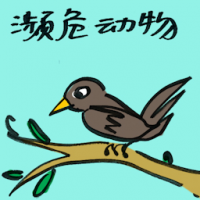 濒危动物 endangered animals