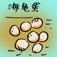 海龟蛋 turtle eggs