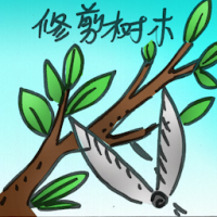 修剪树木 pruning tree