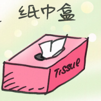 纸巾盒 tissue box