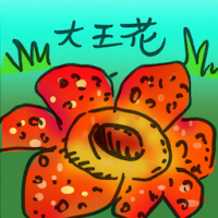 大王花,莱佛士花 rafflesia