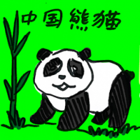 中国熊猫 pandas from china