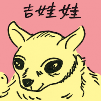 吉娃娃 chihuahua