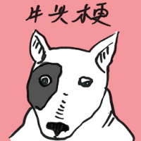 牛头梗 bull terrier