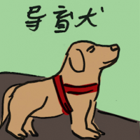导盲犬 guide dog