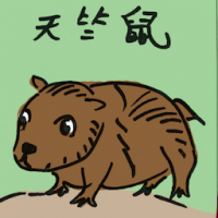 天竺鼠 guinea pigs
