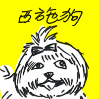 西施狗 shis tzu