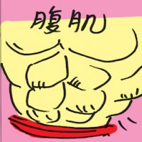 腹肌 abdominals