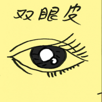 双眼皮 eyelid