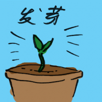 发芽 germination