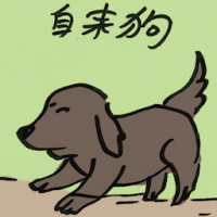 自来狗 unsolicited dog