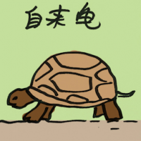 自来龟 unsolicited turtle