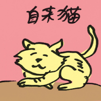 自来猫 unsolicited cat