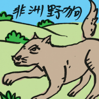 非洲野狗 african painted dog