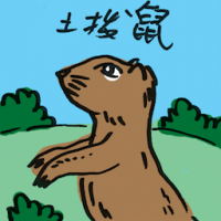 土拨鼠 groundhog