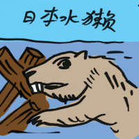 日本水獺 japanese otter