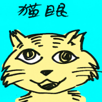 猫眼 cat's eye
