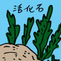 活化石 living fossil