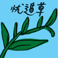 忧遁草 snake plant