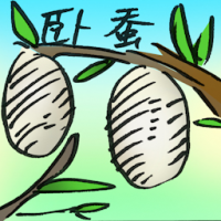 卧蚕 lying silkworm