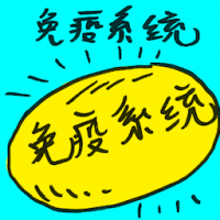 免疫系统 immune system