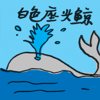白色座头鲸 white humpback whale