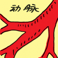 动脉 artery